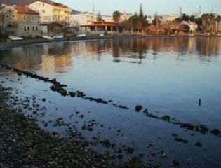 Cennet Datça{Göksel - Kurşuni Renkler}Dasitane