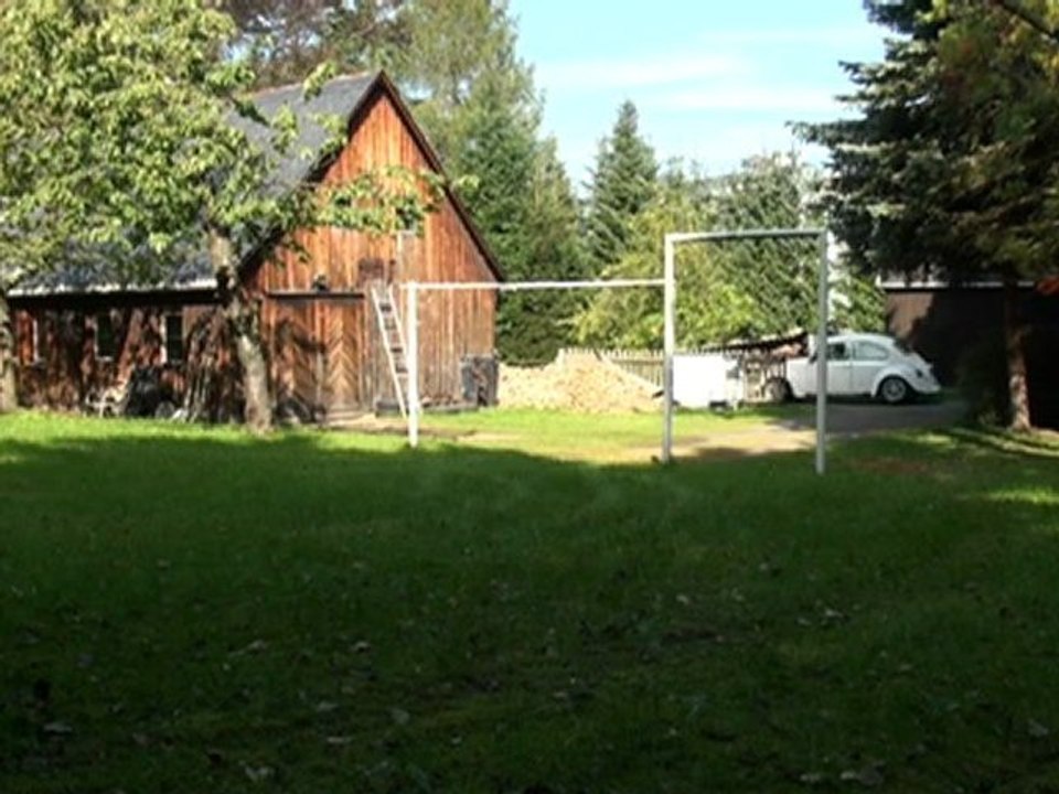 Dumbo Quaife Sperrdifferential Test