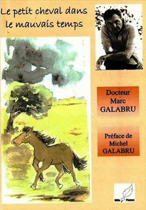 LE PETIT CHEVAL DANS LE MAUVAIS TEMPS
