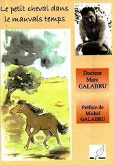LE PETIT CHEVAL DANS LE MAUVAIS TEMPS