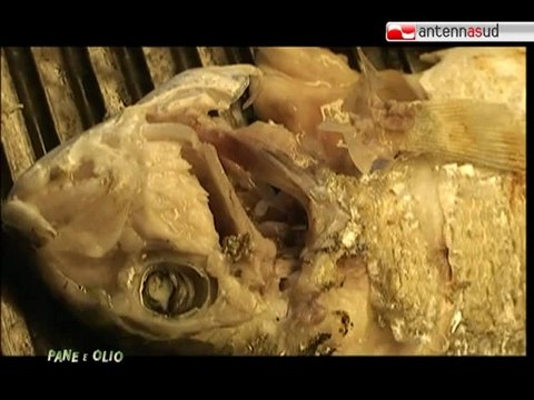 Pane e olio - su Antenna Sud | Orata e seppia alla griglia