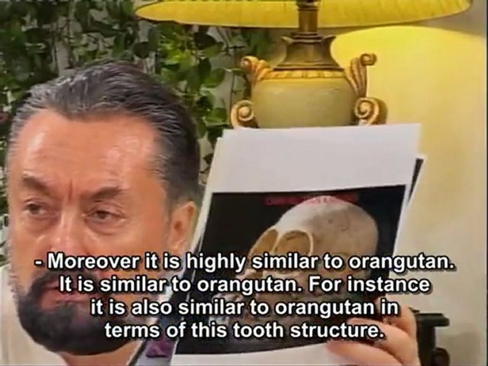 Harun Yahya TV - The living Bonobos display exactly the same characteristics with the recently found fossil _Ardi_ and have not changed for millions of years