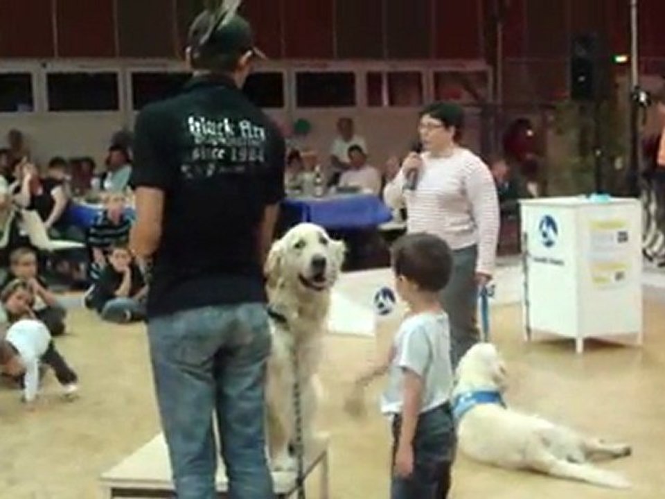 Démonstration de dressage avec Handi-chiens (1)