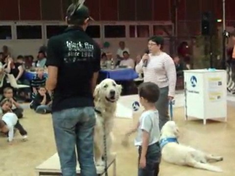 Démonstration de dressage avec Handi-chiens (1)
