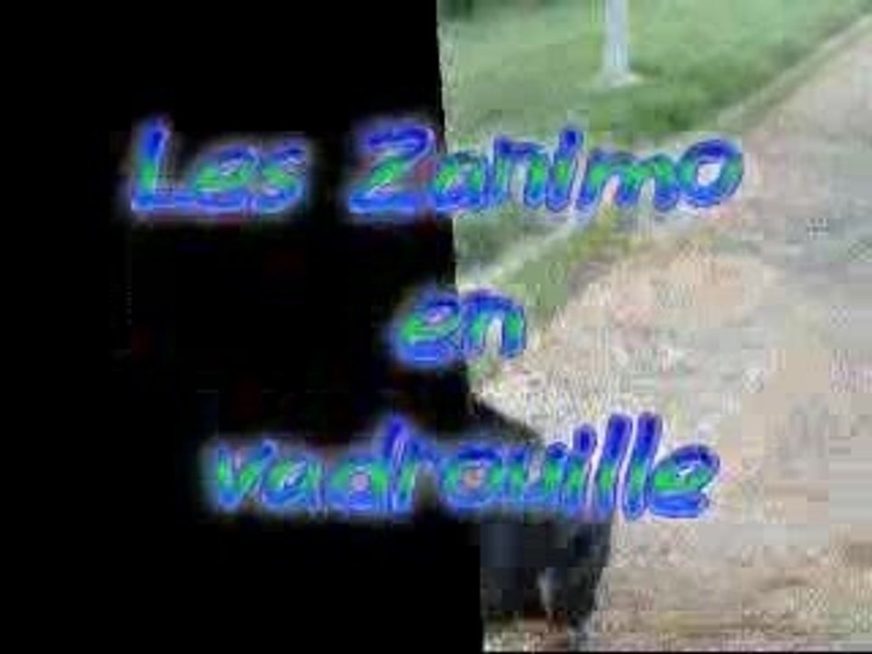 En vadrouille 270806