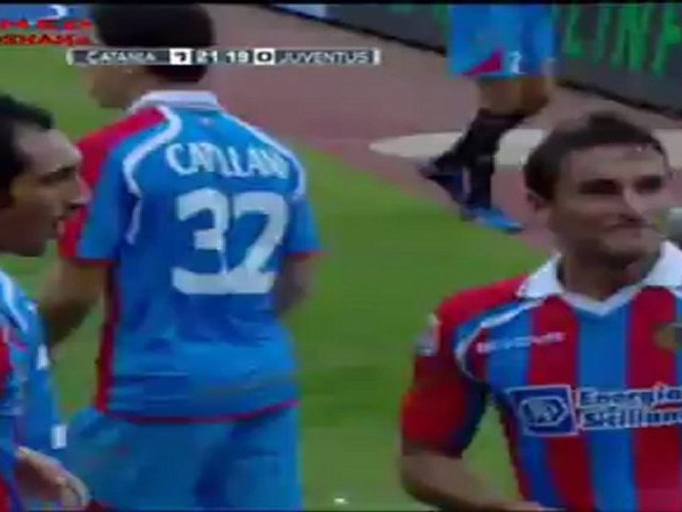 Cat1-0Juv_MediaKora_Aboshama
