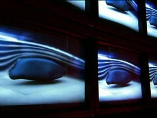SUPERSTRUCTURES ANIMALES - LE MOUVEMENT
