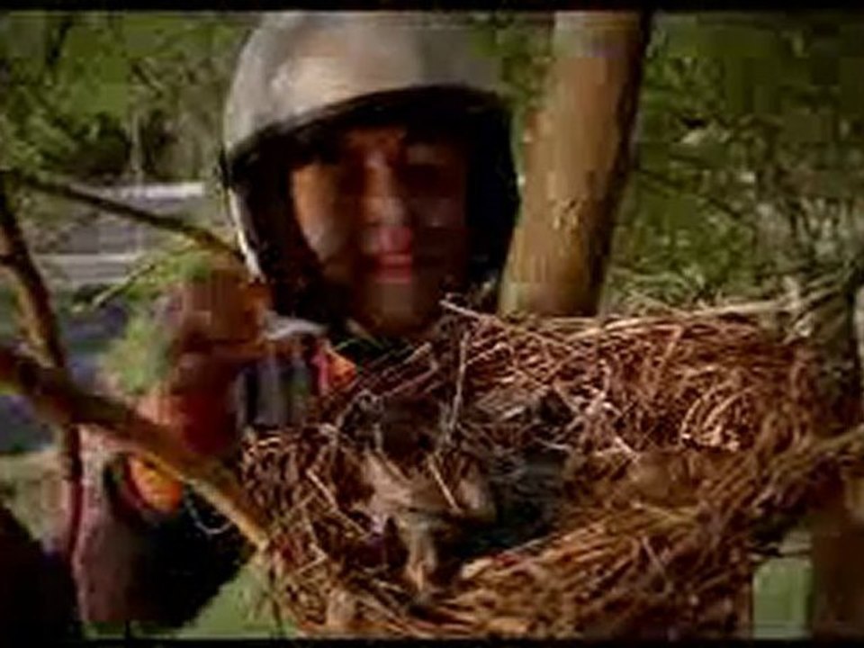 zaman_manifesto_300250