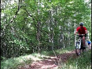 monteynard "yellow" VTT