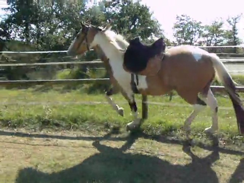 Un beau jour d'automne avec Soli