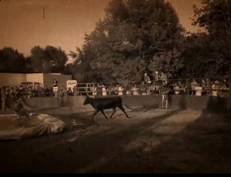 Taureau Piscine Old Fabrègues 1920
