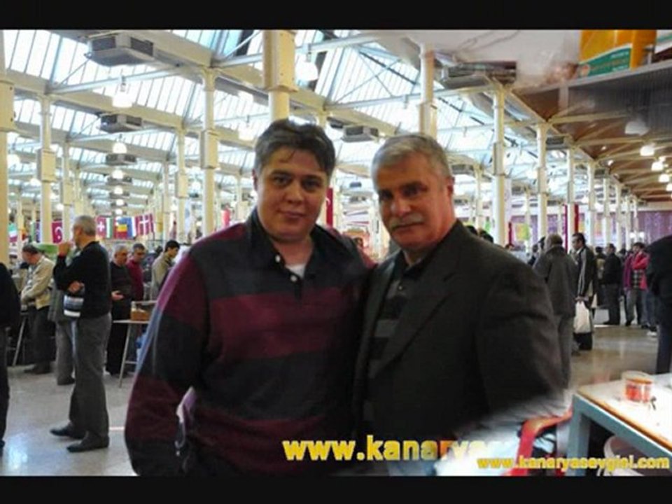 kanaryasevgisi.com