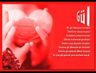 harika aşk şarkısı kürtçe videolar @ MEHMET ALİ ARSLAN Videos