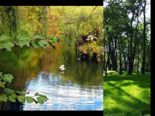 Мой идеальный день