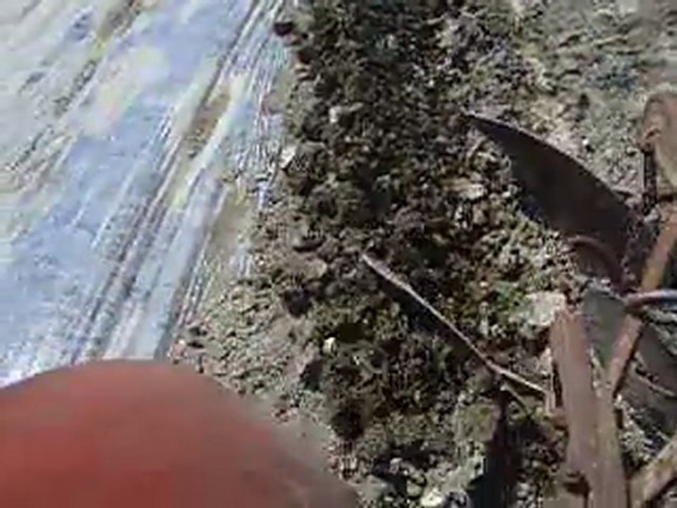 Massey ferguson 37 +charrue à planche MF