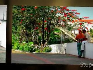 SAN FELIPE, PANAMÁ :: Arriaza Vega