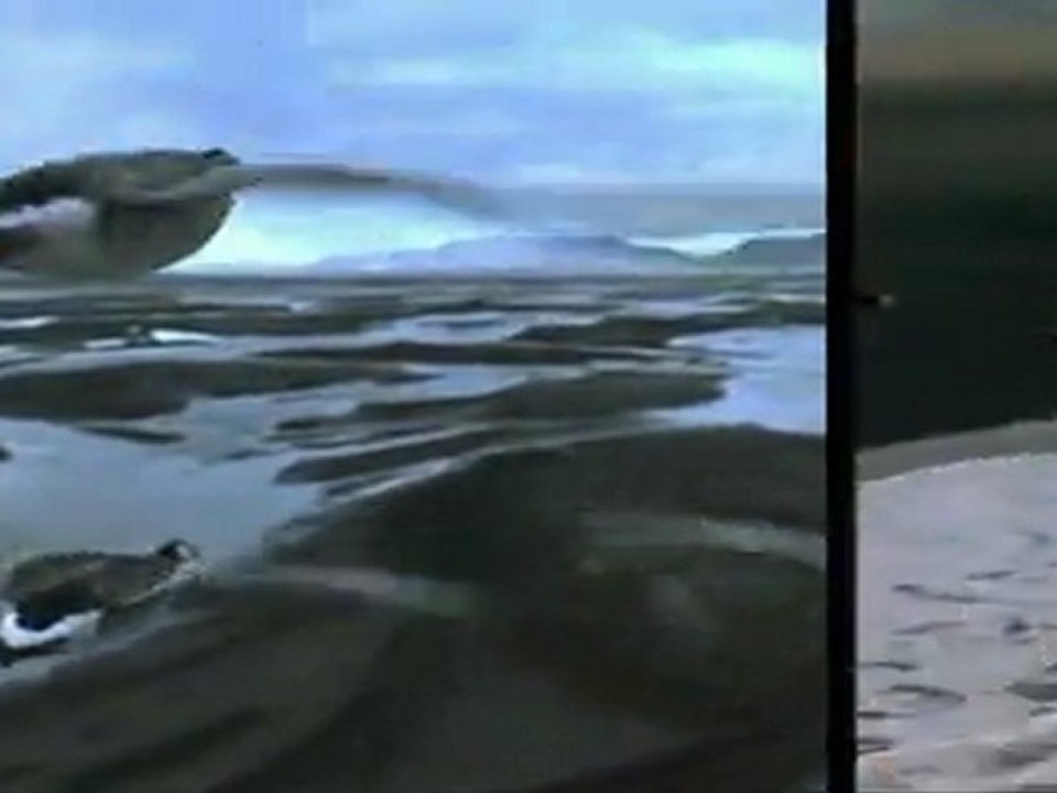 Flavie Flament "La Musique du Ciel" Paradis Ledoux "Télé SPI"