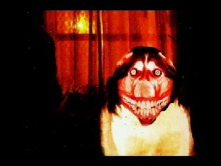 Smile.Dog (Creepy Pasta)