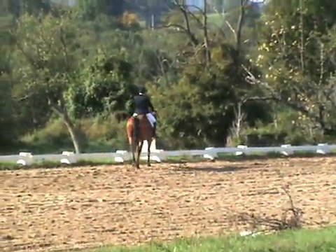 Parity - Pro3 Geneuille - 24/09//2011