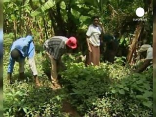 Kenya : le prix Nobel de la paix Wangarai Maathai décède