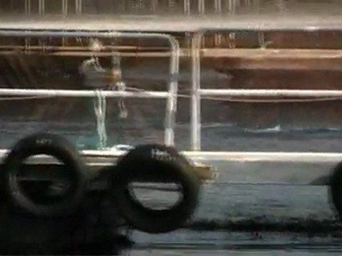 Ces animaux que tu manges