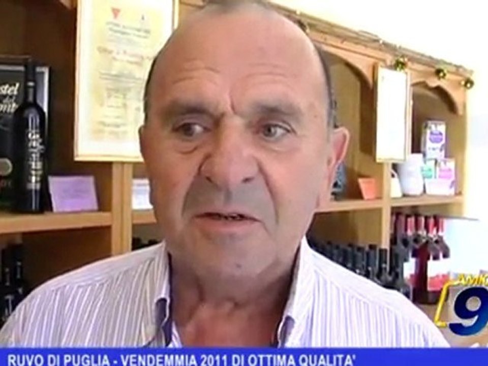 Ruvo di Puglia | Vendemmia 2011 di ottima qualità