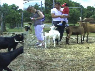 Parc Avenue - Petit train par Mathieu Vignal