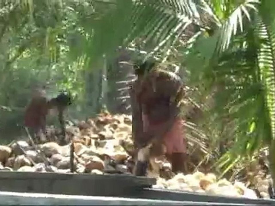 INDE COCHIN KOCHI BACKWATER