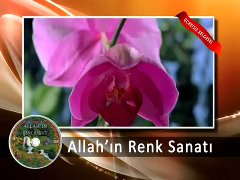 Ücretsiz Belgesel Film