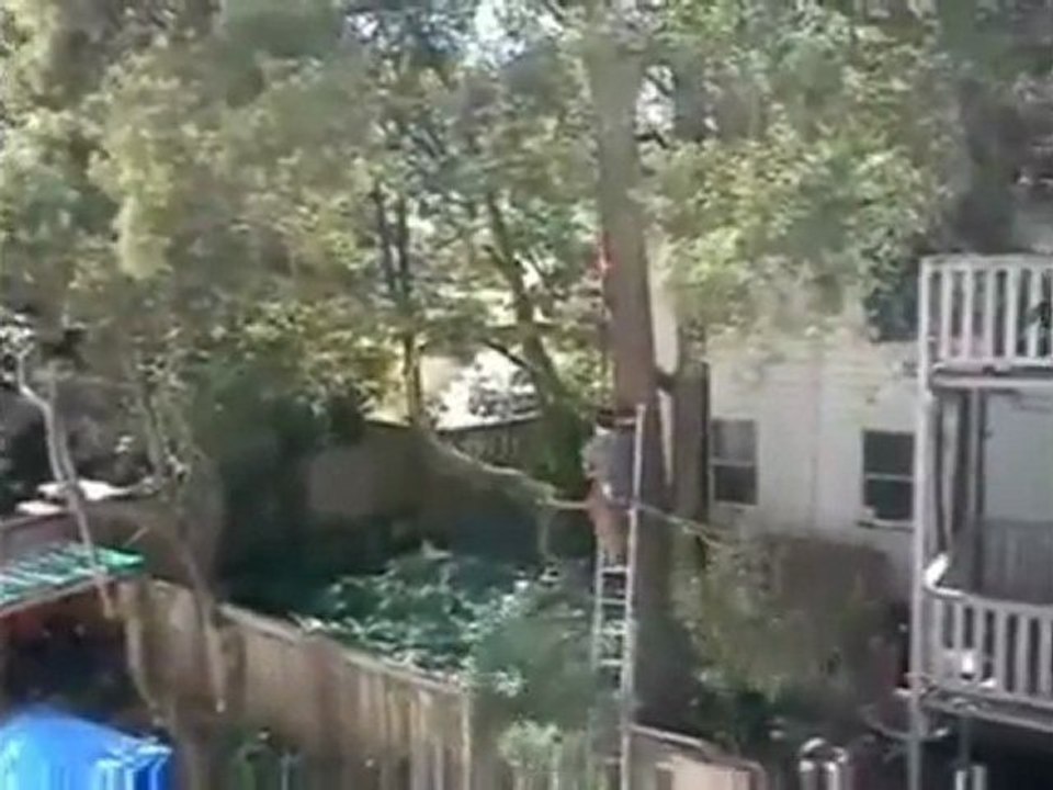 Pruning FAIL