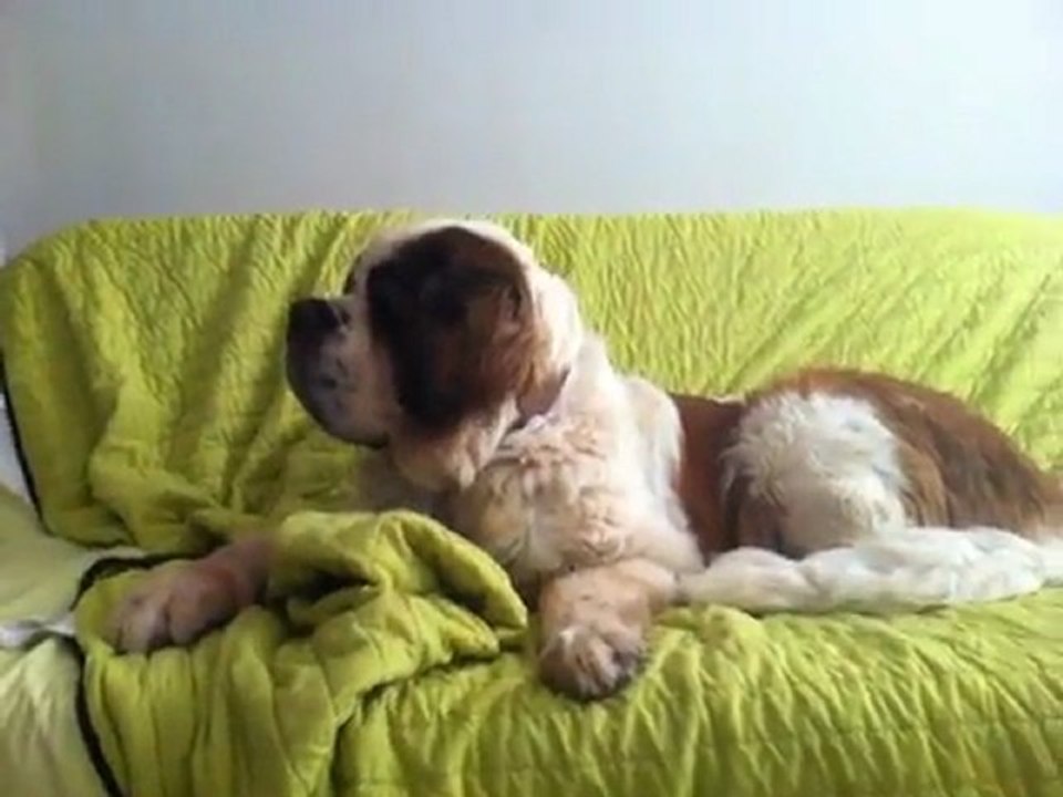 Valdea canapé_22sept11