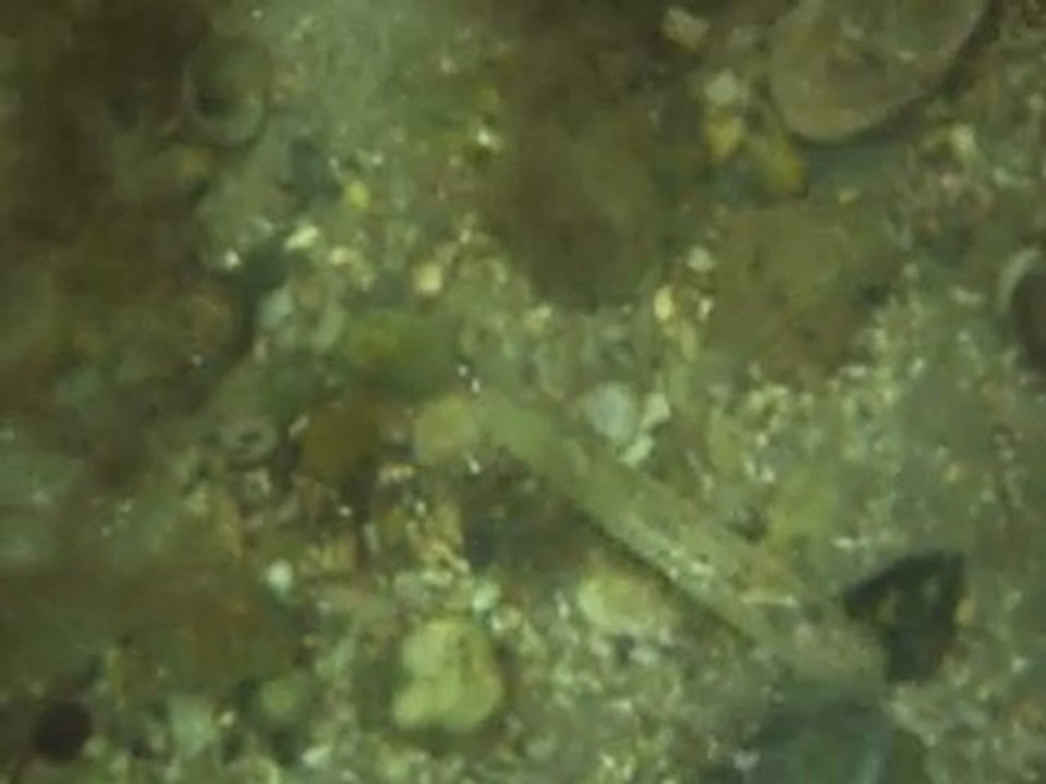 lieu-3