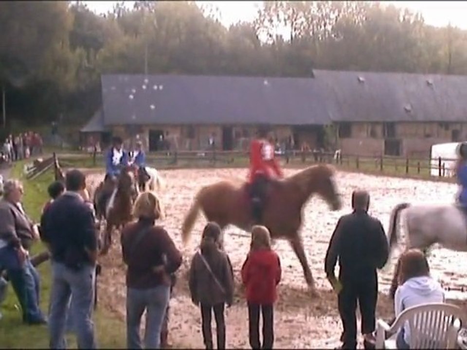 Qualin 5 - Caroussel