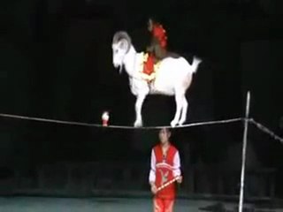 Incroyable talent – ce que t’a jamais vue