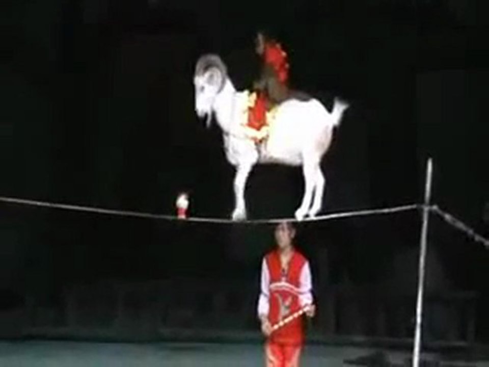 Incroyable talent – ce que t’a jamais vue