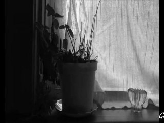 САНТРА   БЕЗ ТЕБ