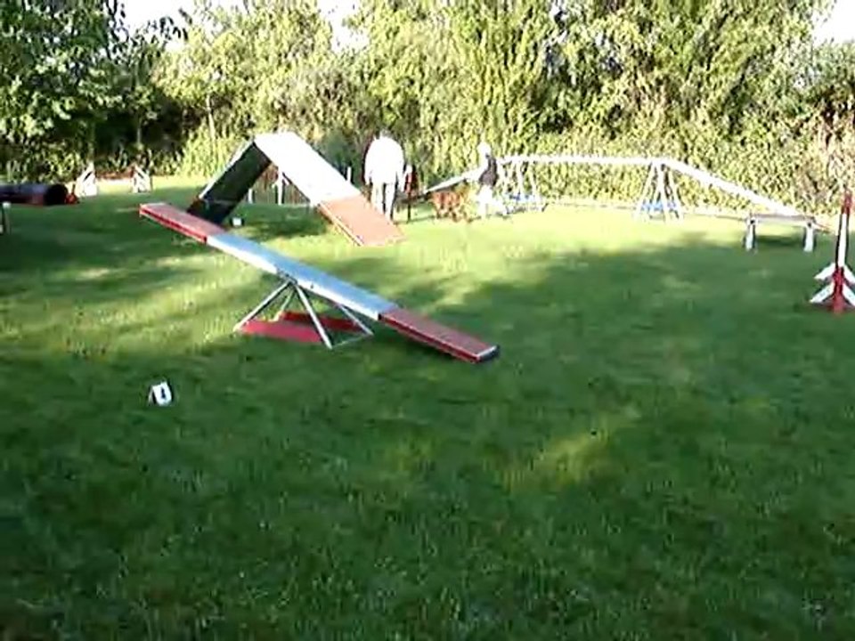 coucours Agility Vigneux 1er degré