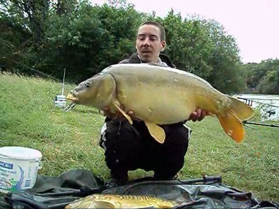session carpe vite fait