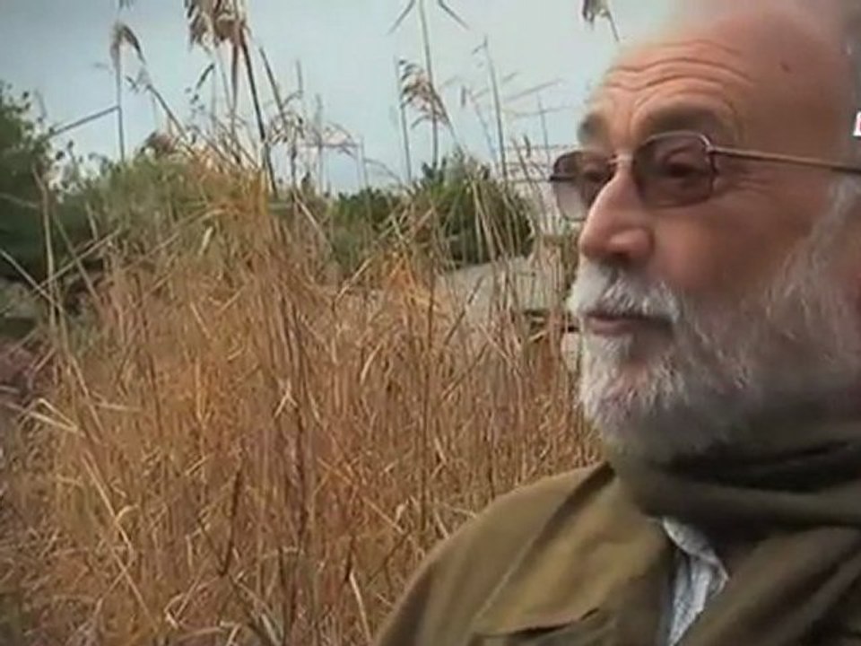 SALVADOS - Los paraísos fiscales (2)