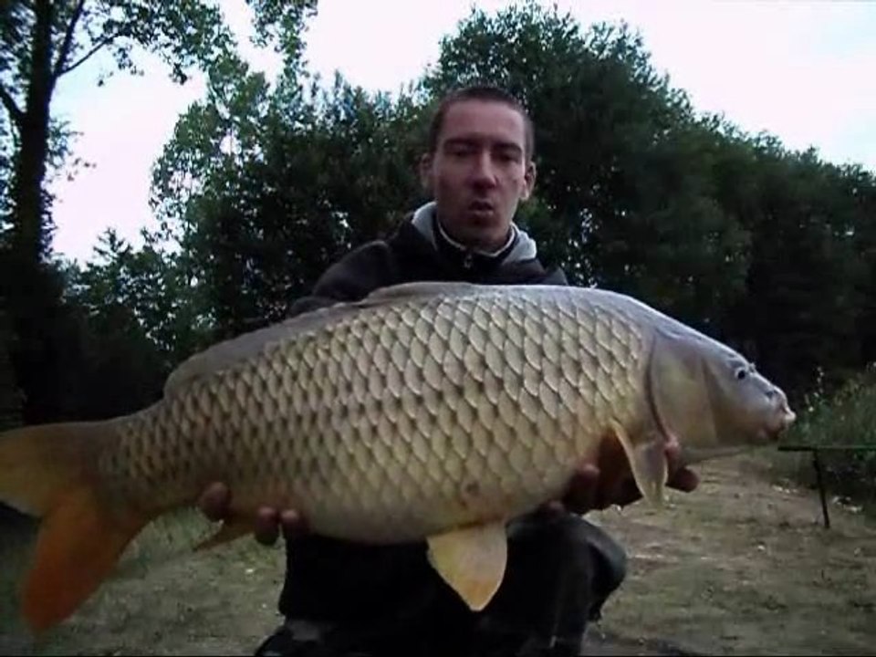 session carpe de 4 jours