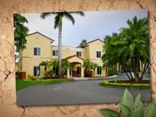 Pet Friendly Shamrock Apartment Florida