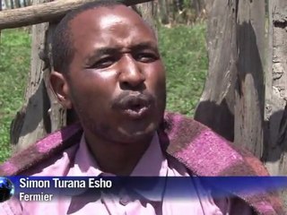 Le Kenya déplace les éléphants pour apaiser sa population