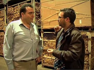 SALVADOS - El tabaco