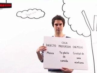 Álvaro Carmona y... los animales - Los insectos