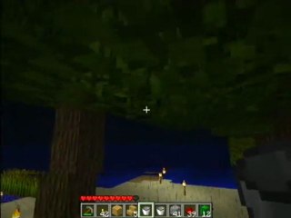 Survival Island en multi partie 9