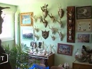 Les souvenirs d’un vieux chasseur (Saint Fulgent)