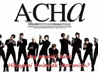 Super Junior ft. F(x) [Turkish Subtitle]