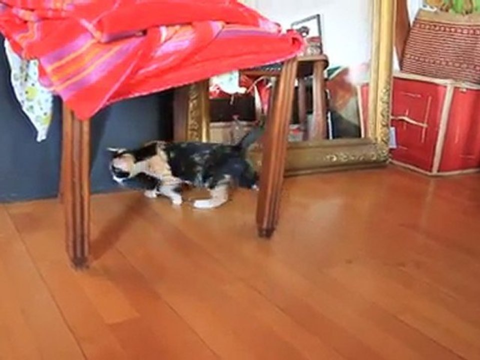 olga et le petit caillou  26-09-2011