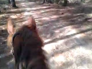 Trotte mon poney!