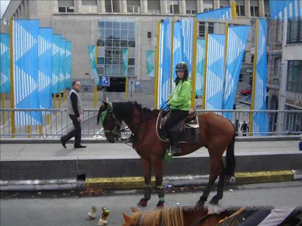 journee sans voitures